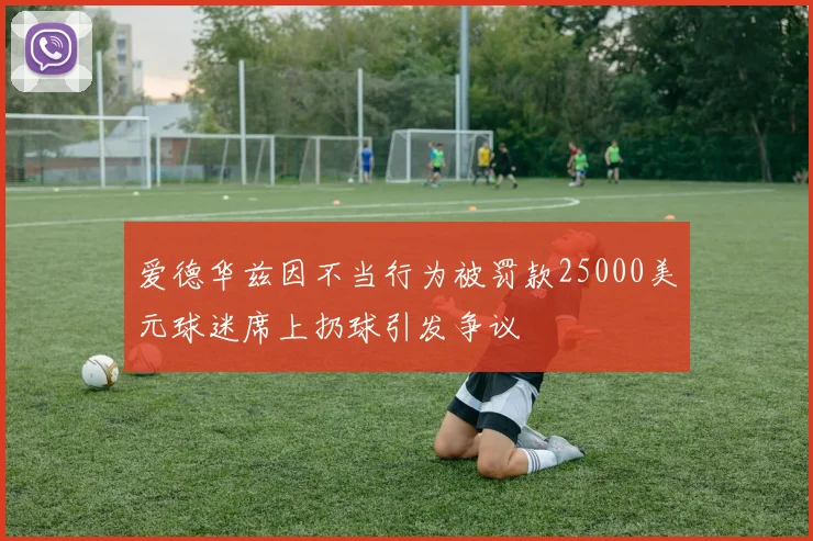 爱德华兹因不当行为被罚款25000美元球迷席上扔球引发争议