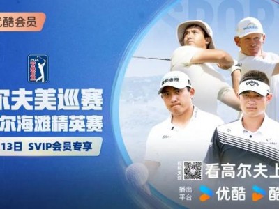 开云体育官网-瑞典代表团在高尔夫比赛中获得好成绩
