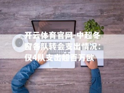 开云体育官网-中超冬窗各队转会支出情况：仅4队支出超百万欧