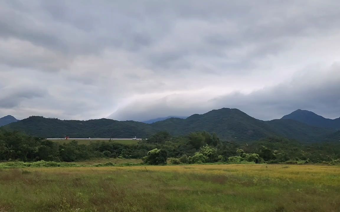 佣鲜种对站例热田于武省