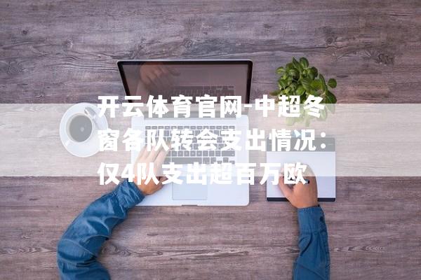 开云体育官网-中超冬窗各队转会支出情况：仅4队支出超百万欧